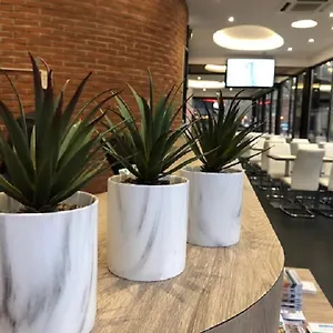 book here